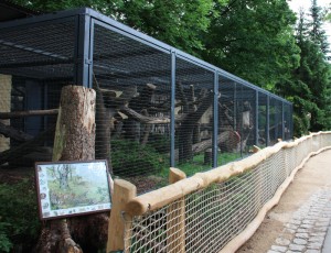 Buntmarder-Anlage Zoo Dresden