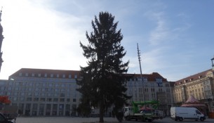 Striezelmarkt Baum 2014