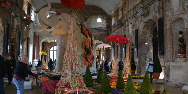 Ein Blumenelefant Im Grossen Garten Ausstellung Dresdner