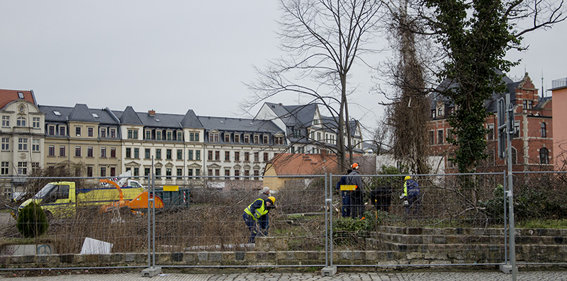 Bäume fallen für Markus-Passage – Spielplatz an der Konkordienstraße bleibt