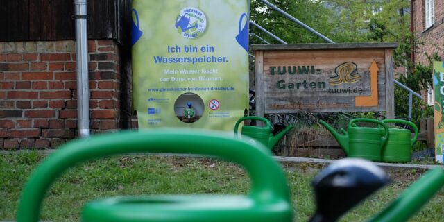 Nachhaltige Bewässerung der Bäume in der Stadt – Gießkannenheld:innen Dresden