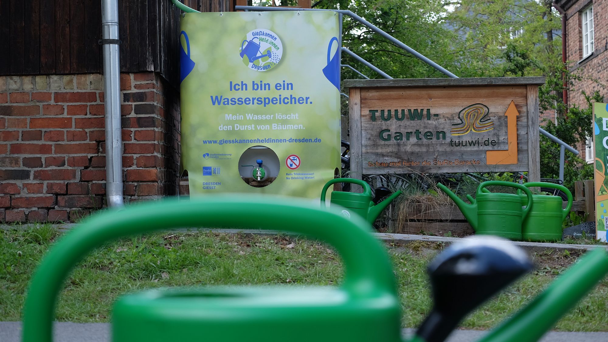 Nachhaltige Bewässerung der Bäume in der Stadt – Gießkannenheld:innen Dresden